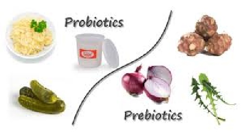  تحقیق  درباره مواد پرو بیوتیک و پری بیوتیک 