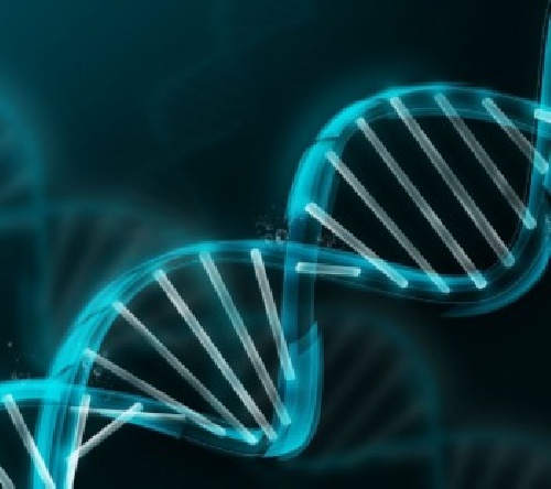  دانلود تحقیق کاربردهای الگوریتم ژنتیک