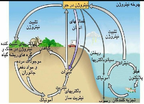 پاورپوینت کنفرانس چرخه نیتروژن و کاربردهای ان