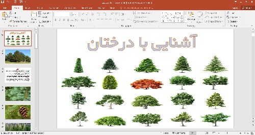  پاورپوینت انواع درخت آشنایی با درختان 