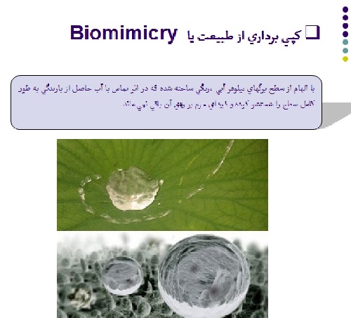  دانلود پروژه پاورپوینت الگو برداری سازه ای از طبیعت (انسان طبیعت معماری )