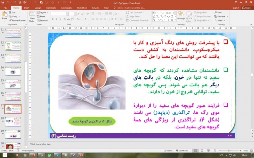  پاورپوینت گفتار 2 زیست شناسی یازدهم تجربی: دومین خط دفاعی؛ واکنش های عمومی اما سریع (ایمنی)