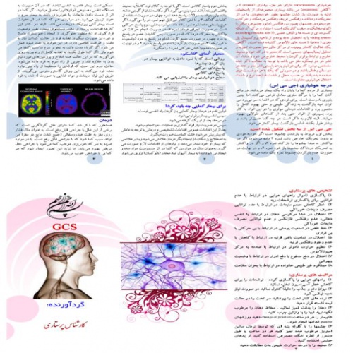  پمفلت (بروشور) آموزشی GCS سطح هوشیاری به همراه تحقیق در قالب ورد و سوالات چهارگزینه ای در قالب اکسل