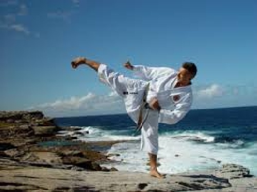  مقاله ای کامل در مورد ورزش کاراته