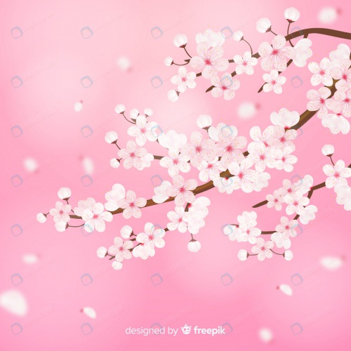  وکتور شکوفه و شاخه درخت گیلاس