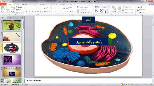  پاورپوینت   زیست دهم تجربی    فصل دوم    گفتار یکم     (یاخته و بافت جانوری   )