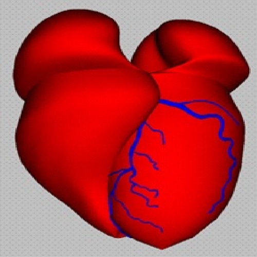  پاورپوینت درباره فيزيولوژی قلب
