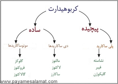  پاورپوینت جامع و کامل با عنوان کربوهیدارت ها در 102 اسلاید