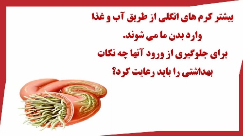  درمان های ساده و عملی انگل های گوارشی