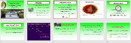  پاورپوينت با عنوان آنفلوانزای پرندگان تهدیدی برای ظهور پاندمی 