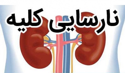  پاورپوینت ارائه نارسایی مزمن کلیوی (Chronic kidney disease)