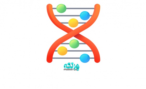  نرم افزار حسابداری چرتکه