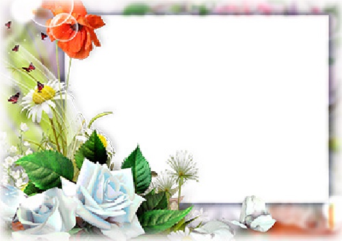  طرح لایه باز قاب عکس و فریم برای فتوشاپ با موضوع گل (Flower frame)