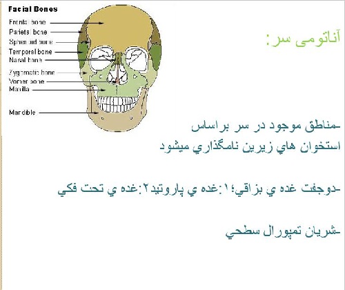   پاورپوينت با عنوان بررسی وضعیت سر و گردن