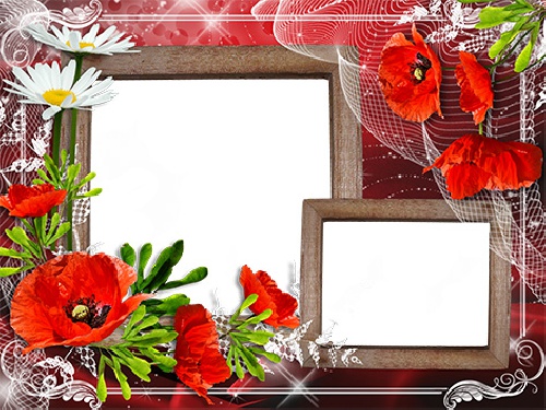  طرح لایه باز قاب عکس و فریم برای فتوشاپ با موضوع گل قرمز (Red Flower)