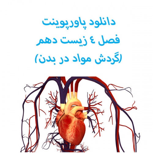 دانلود دانلود پاورپوینت فصل ۴ زیست دهم(گردش مواد در بدن)