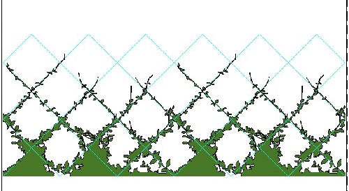  فایل اتوکد آبجکت گیاهان بالارونده