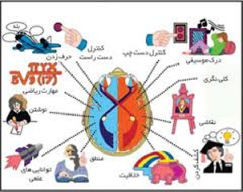  مقاله بررسی نقش و اهمیت مؤلفه های مؤثر بر بهره هوش مدیریتی در مدیریت سازمان های مردم نهاد