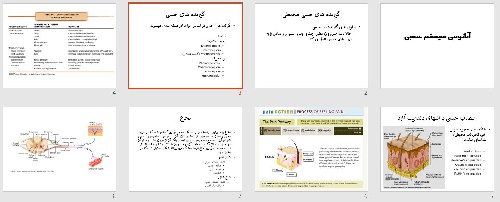  پاورپوينت با عنوان آناتومي سيستم عصبي