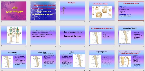   پاورپوينت با عنوان سیستم اسکلتی Skeletal system