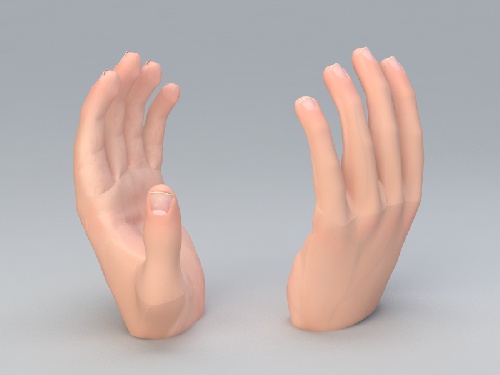  مدل سه بعدی دست انسان (همراه تکسچر)