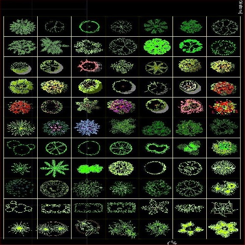  مجموعه بی نظیر آبجکت های اتوکدی درختان و گل و گیاه برای اتوکد