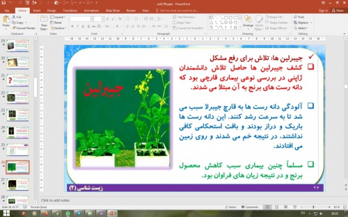 دانلود پاورپوینت فصل 9 زیست شناسی یازدهم تجربی: پاسخ گیاهان به محرک ها