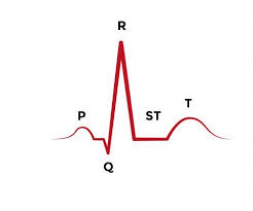  پاورپوینت آماده تدریس و برگزلری کارگاه الکتروکاردیوگرام پایه (Baseline electrocardiogram )