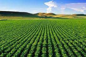 پاورپوینت کاهش ضایعات محصولات کشاورزی