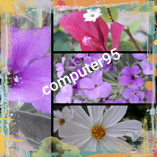  چند عکس خام از گل های مختلف با رنگ های مختلف  برای استفاده در فتوشاپ و....