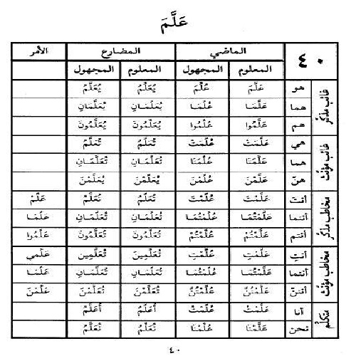  دانلود معجم تصریف 8000 فعل