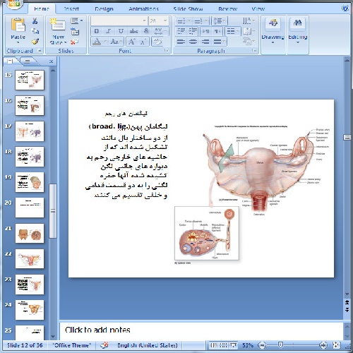  دانلود پاورپوینت آناتومی دستگاه تناسلی - 36 اسلاید