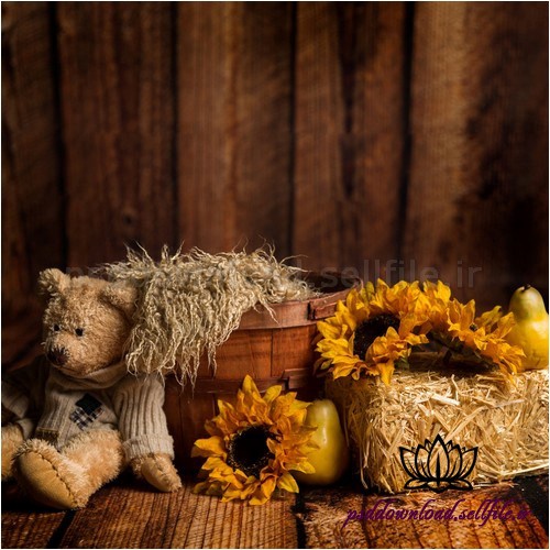  بک دراپ نوزاد سطل چوبی-عروسک-گلابی-گل آفتابگردان -کد 1867