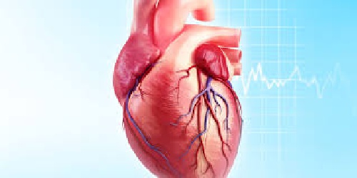  مجموعه دیتاست در خصوص بیماری های قلبی در مردان