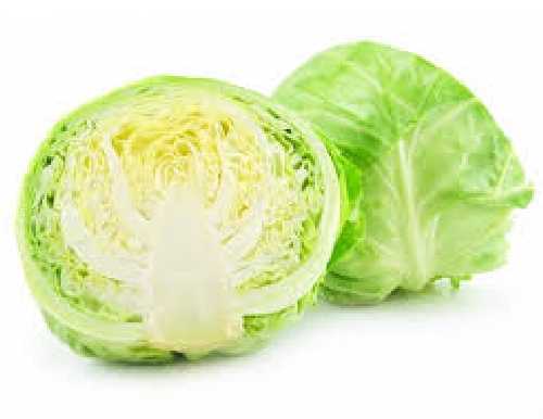  تحقیق درباره کلم پيچ Cabbage  