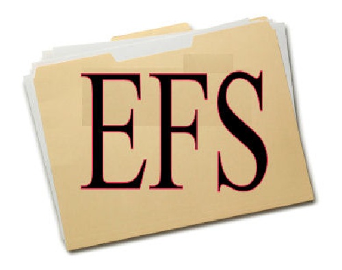  فايل EFS سامسونگ GT-S5830