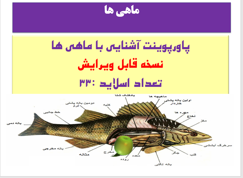 آشنایی با ماهی ها نسخه قابل ویرایش  تعداد اسلاید :33