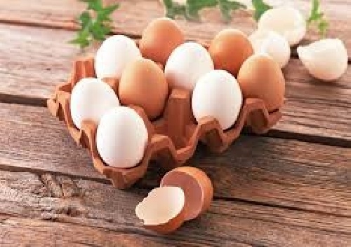 دانلود فایل تحقیق جامع در مورد تخم مرغ