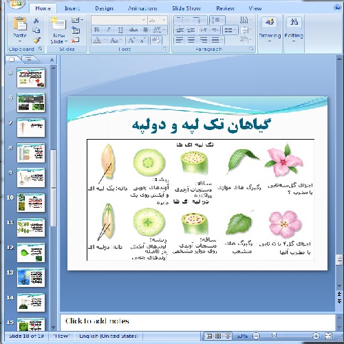  دانلود پاورپوینت گیاهان- 19 اسلاید