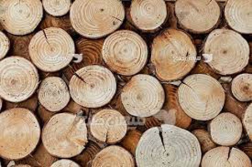  مقاله دانشجویی درباره انواع چوب