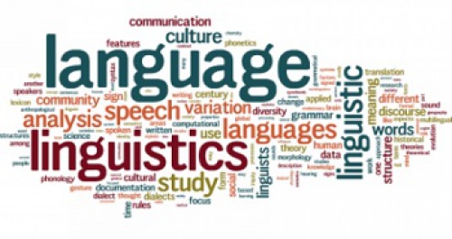  پاورپوینت کامل و جامع با عنوان زبان و زبان شناسی در 84 اسلاید