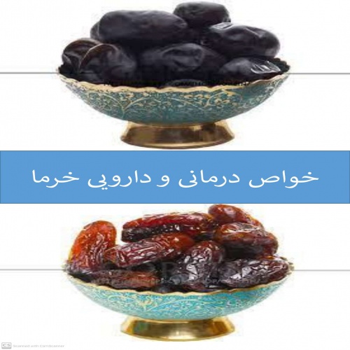  خواص درمانی و دارویی خرما