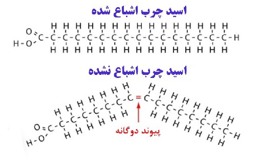  پاورپوینت کامل و جامع با عنوان بررسی اسیدهای چرب در 29 اسلاید